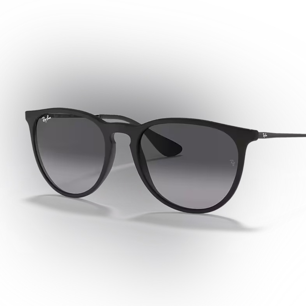 Ray-Ban Erika Sunglasses